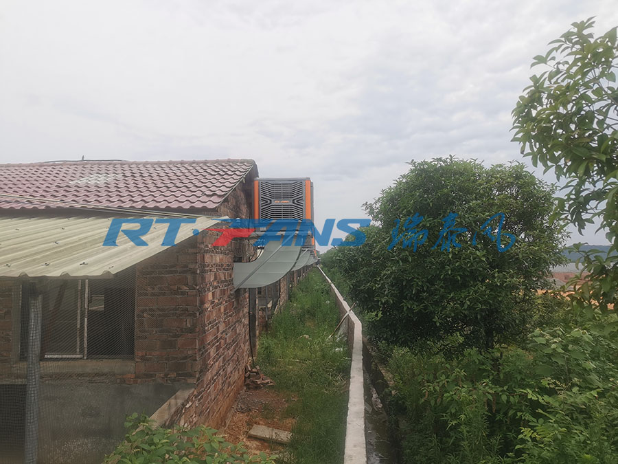 豬場降溫,濕簾冷風(fēng)機(jī),環(huán)保空調(diào)
