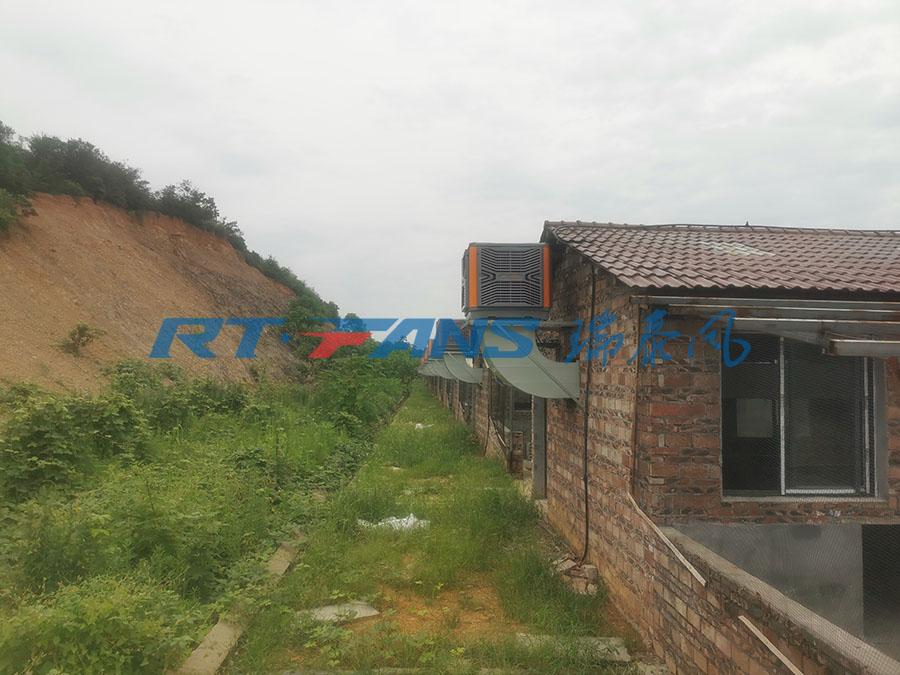 工廠降溫,環(huán)?？照{(diào),冷風(fēng)機